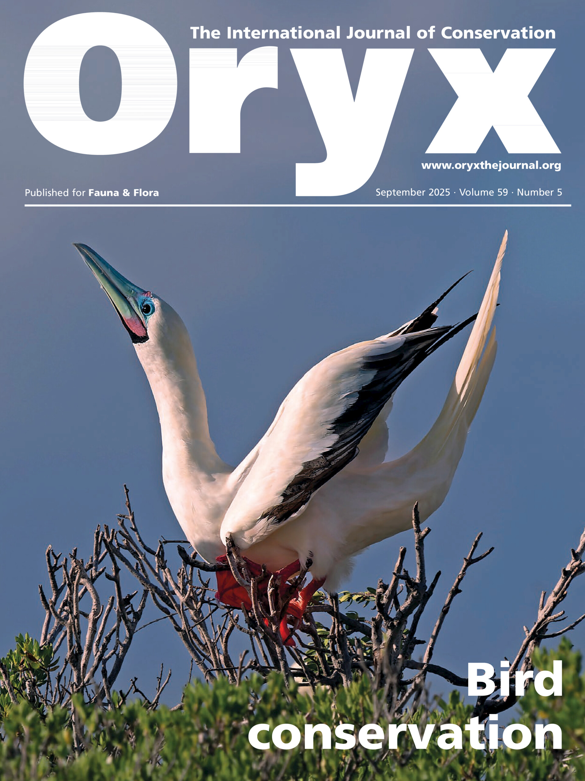 Our publication dedicated to youth participation in transboundary conservation